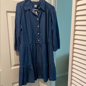 GAP Blue Denim Dress